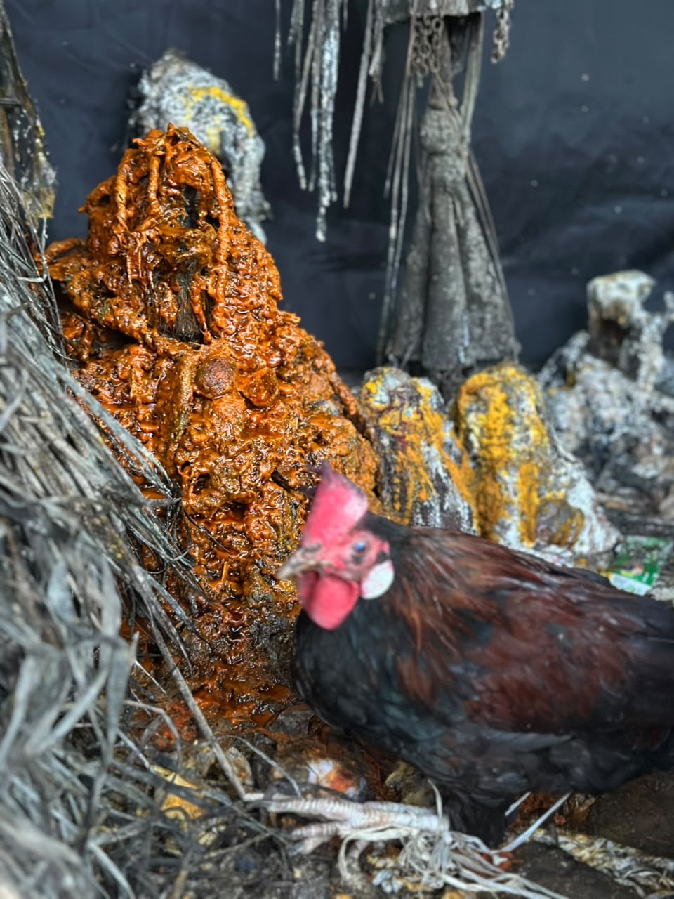A rooster standing before the shrine mound anointed with palm oil