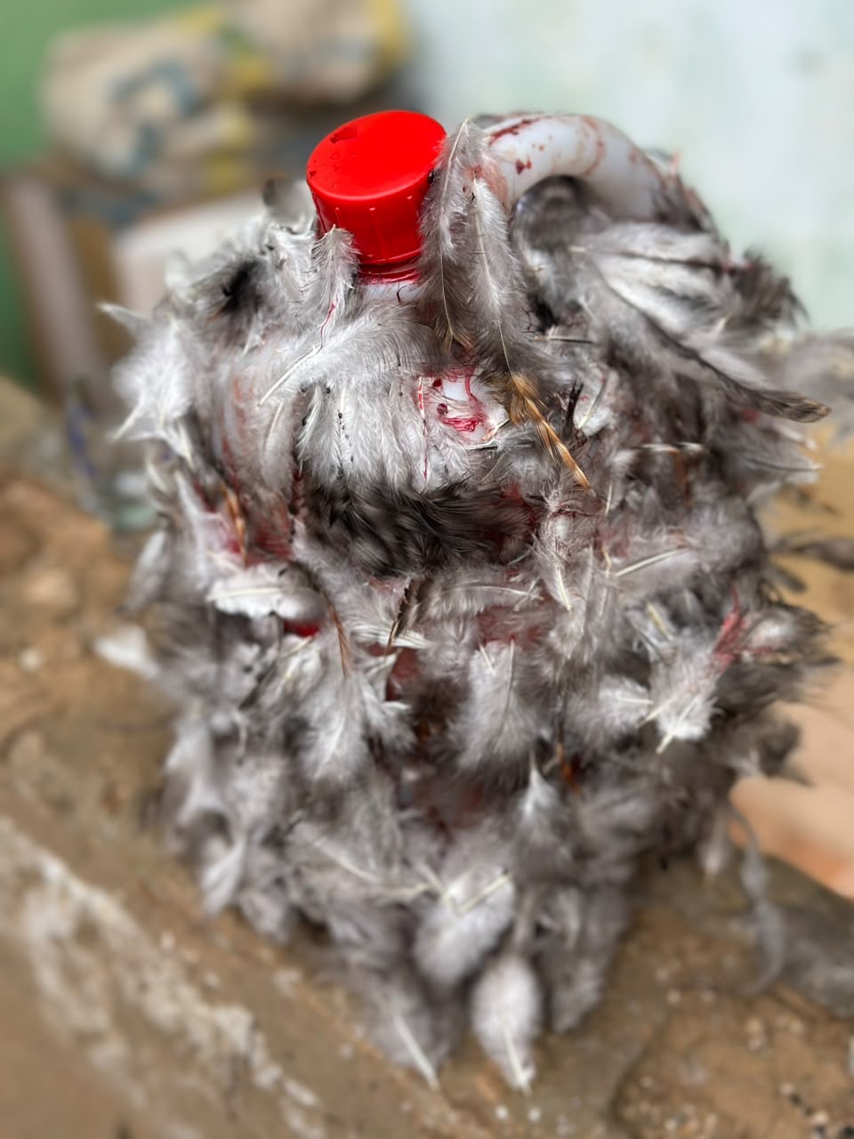 Feathers and ritual markings on a vessel prepared for the ẹbọ